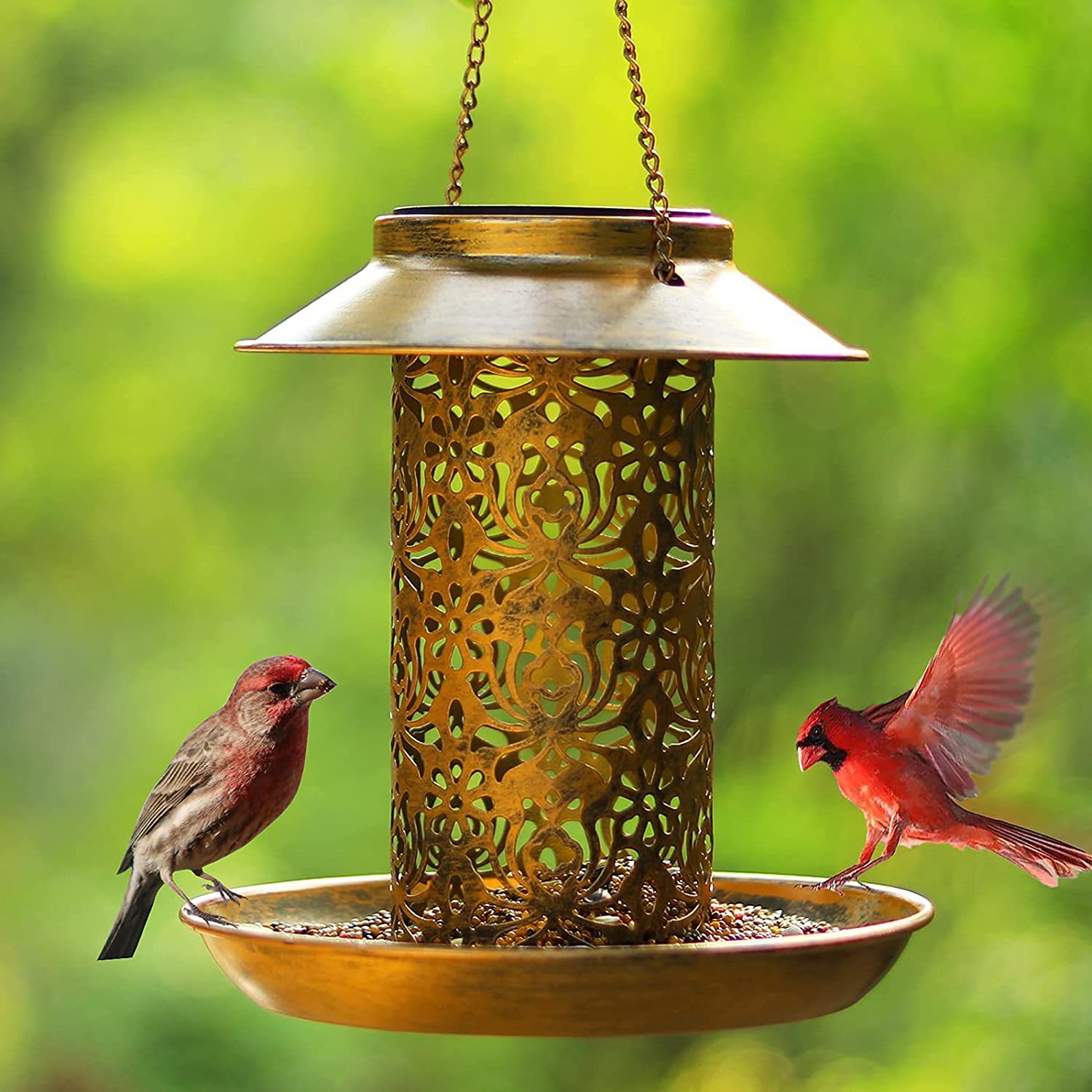 Outdoor Lighting Decor Ideas - Metalowy domek dla ptaków do zawieszenia
